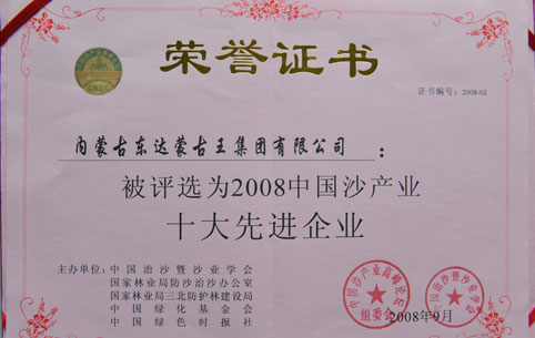 2008中國沙產(chǎn)業(yè)十大先進企業(yè)