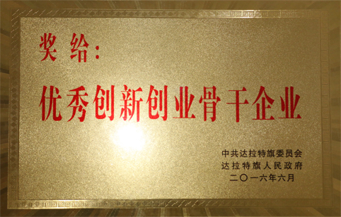 東達(dá)集團(tuán)榮獲“優(yōu)秀創(chuàng)新創(chuàng)業(yè)骨干企業(yè)”稱號(hào)